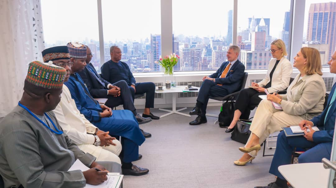 UNGA: Nigeria demands two permanent seats for Africa in UN Security Council