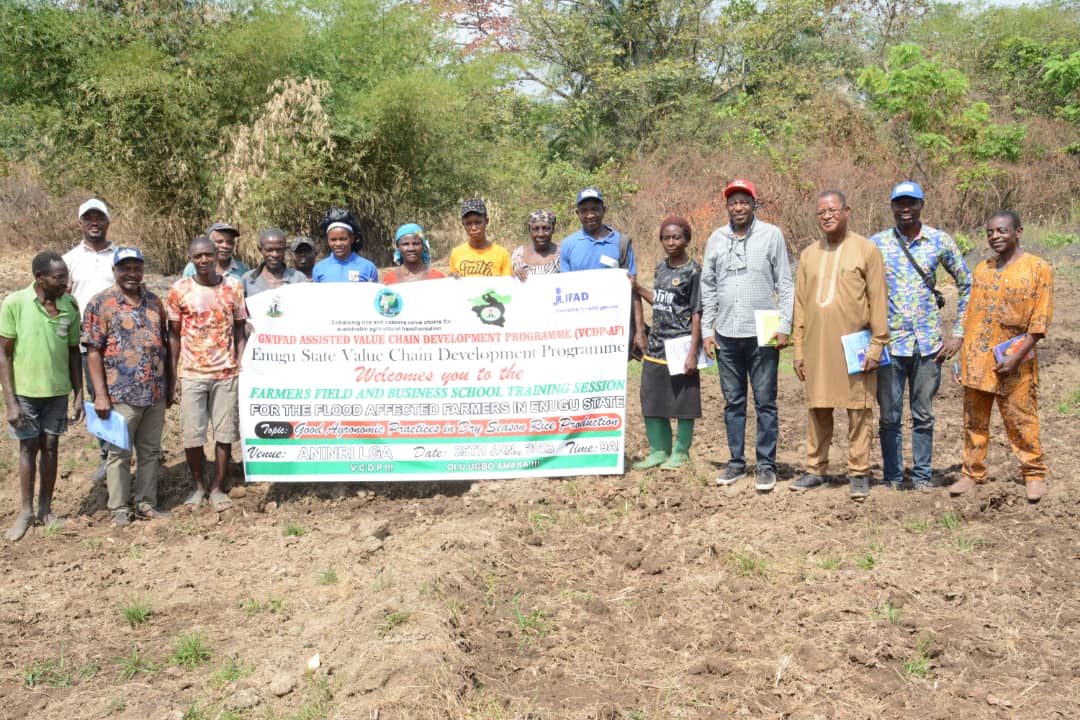 Over 100 rice farmers benefit from FG/IFAD training on best practices in Enugu