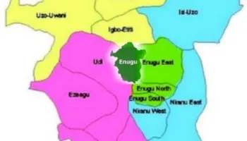 Group calls for unity in Enugu North senatorial zone