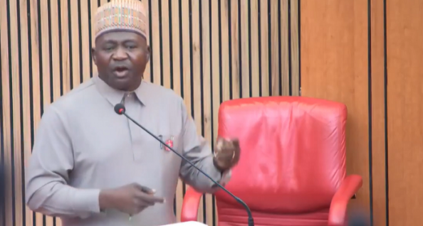 Ex-CDS, Gen Musa confirmed as defence minister