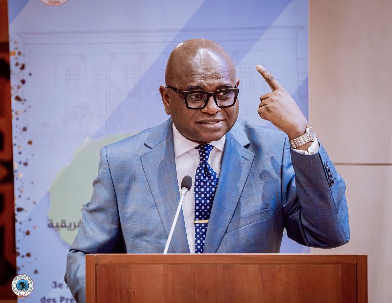 Ohanaeze inaugurates committee on Igbo strategic engagement